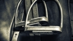 Steve Guerdat : «C'est aux cavaliers d'agir» - Equitation - Dinard